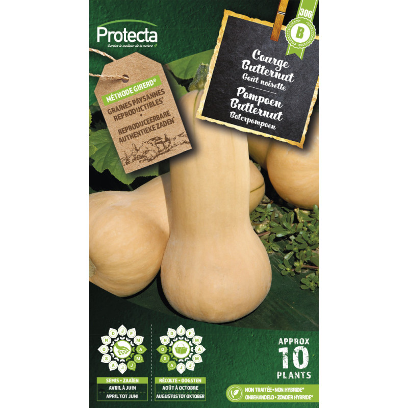 Semences de courge Butternut PROTECTA