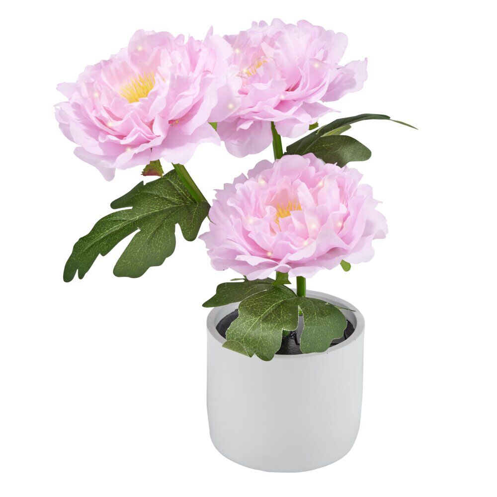 Rose artificielle solaire LED dans pot blanc 3 tiges Ø12xH35cm