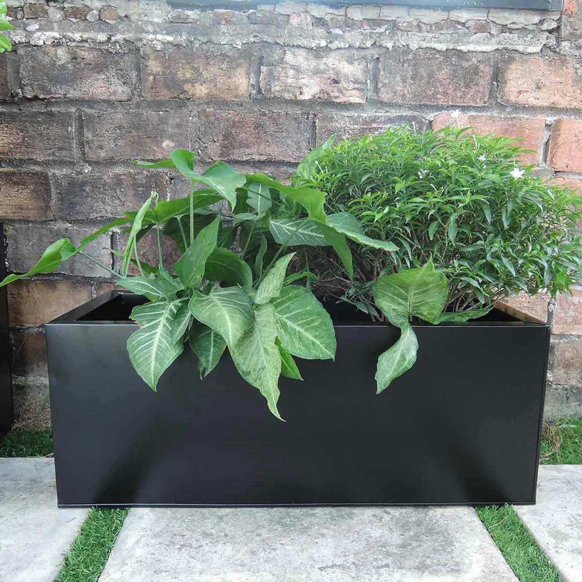 - Jardinière rectangulaire à poser