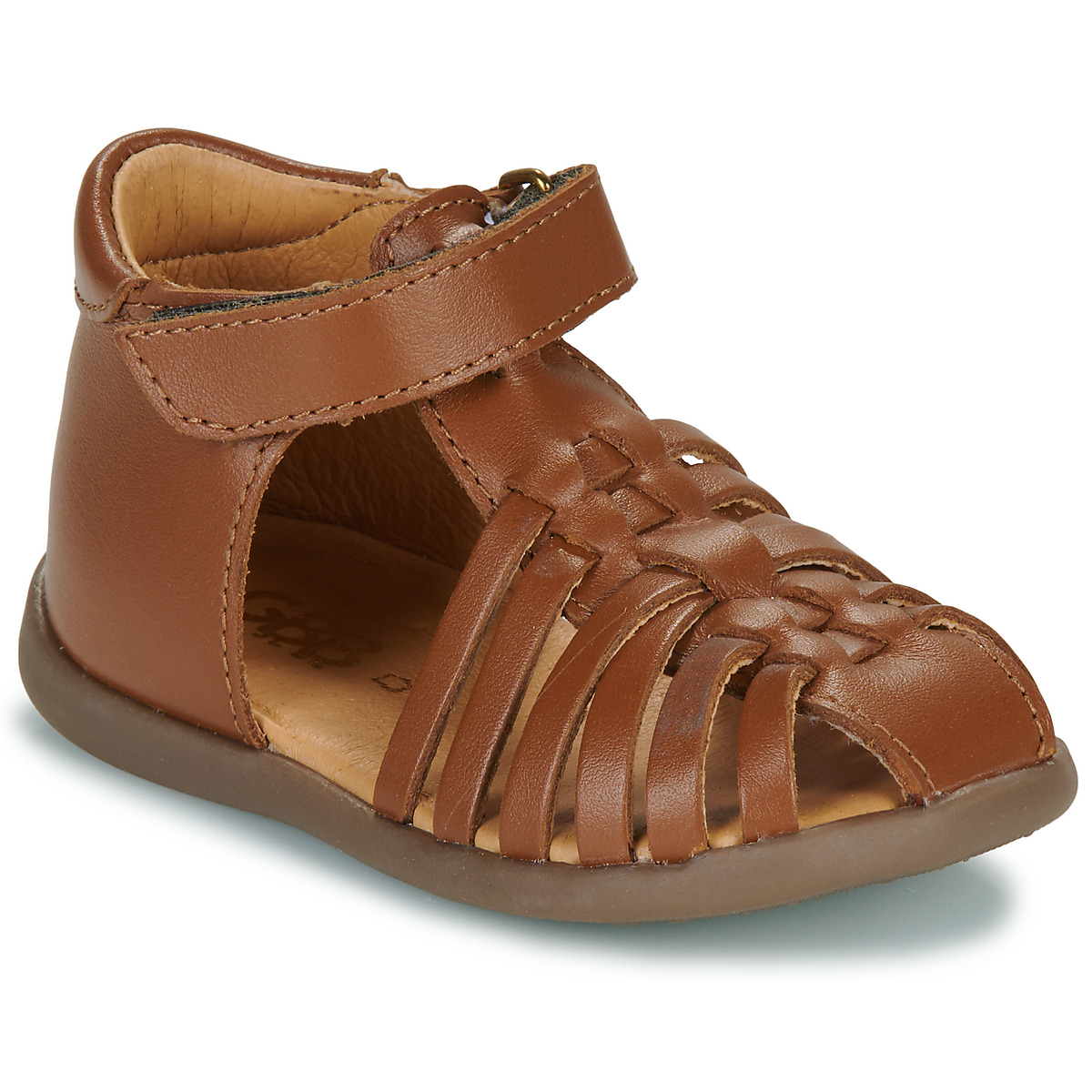 GBB - EXQUIS - Brown