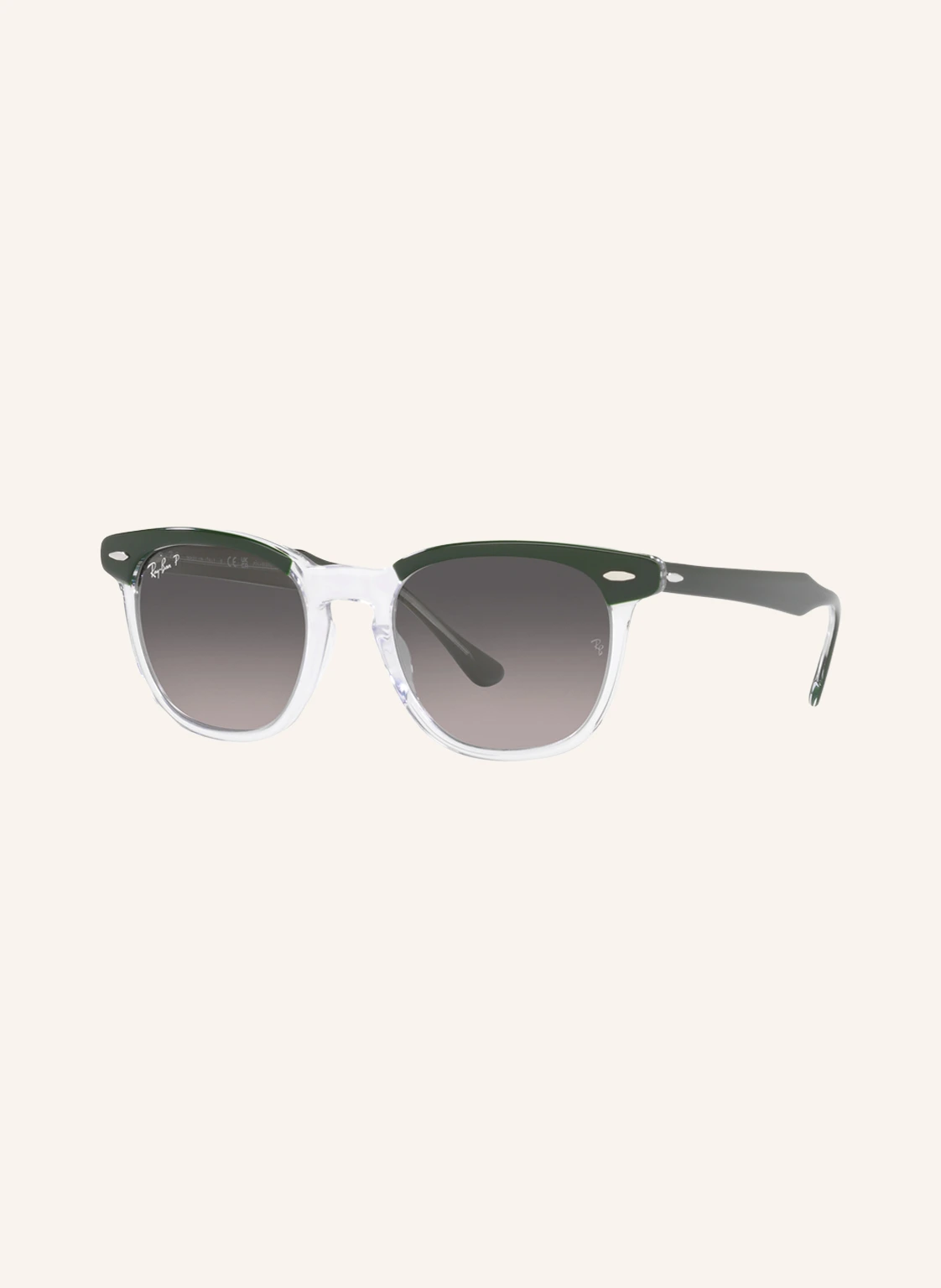 Ray-Ban Sonnenbrille RB2298