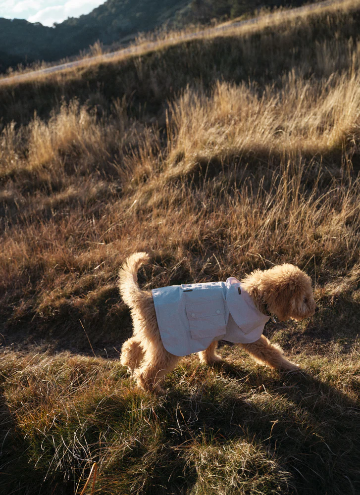 Light Weight Dog Coat