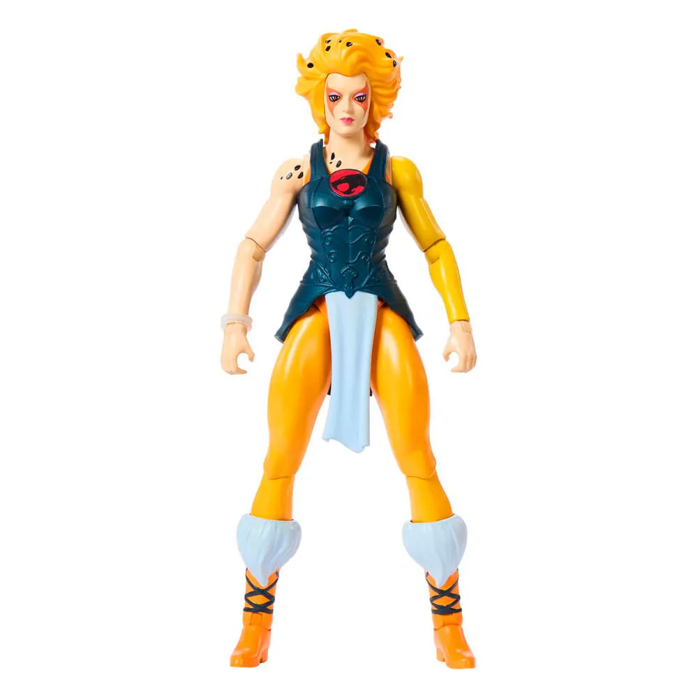 Mattel Masters Of The Universe X ThunderCats Cheetara Action Figure 14 cm