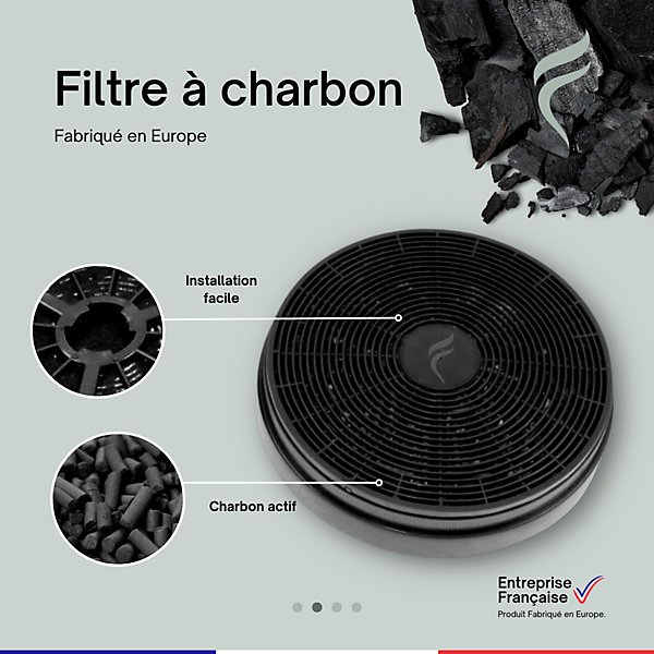 Lot de 2 Filtres à Charbon pour Hotte Curtiss - 11070025 - 175mm