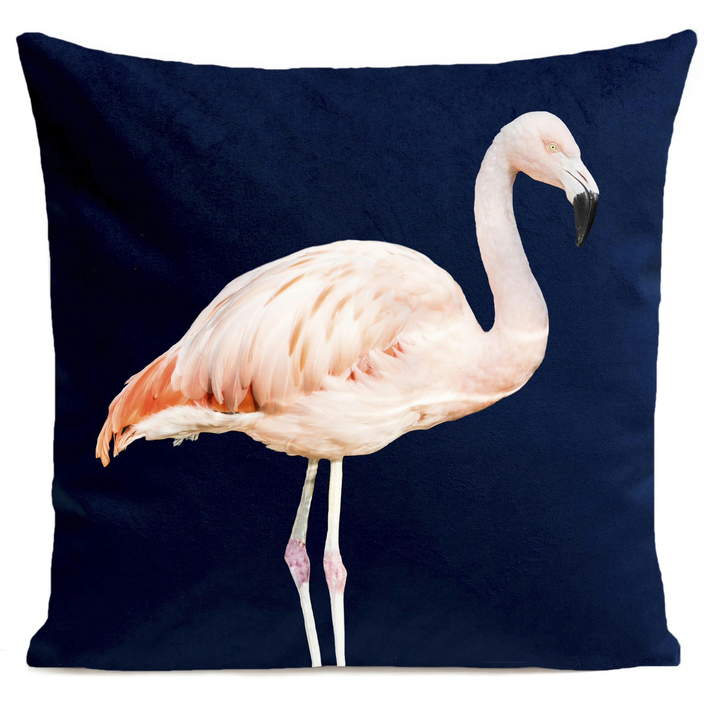 - Coussin tropical flamant rose suédine bleu 40x40cm