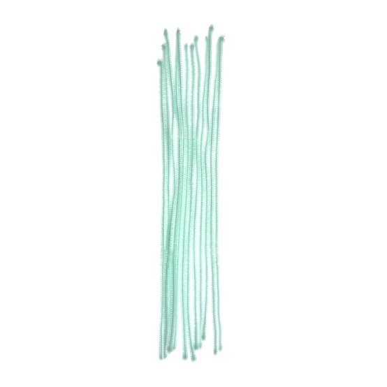 Mint Pipe Cleaners 12 Pack