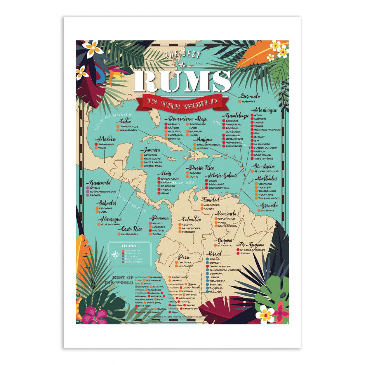 FROG POSTERS - BEST RUMS IN THE WORLD - FROG POSTERS - Affiche d'art 50 x 70 cm