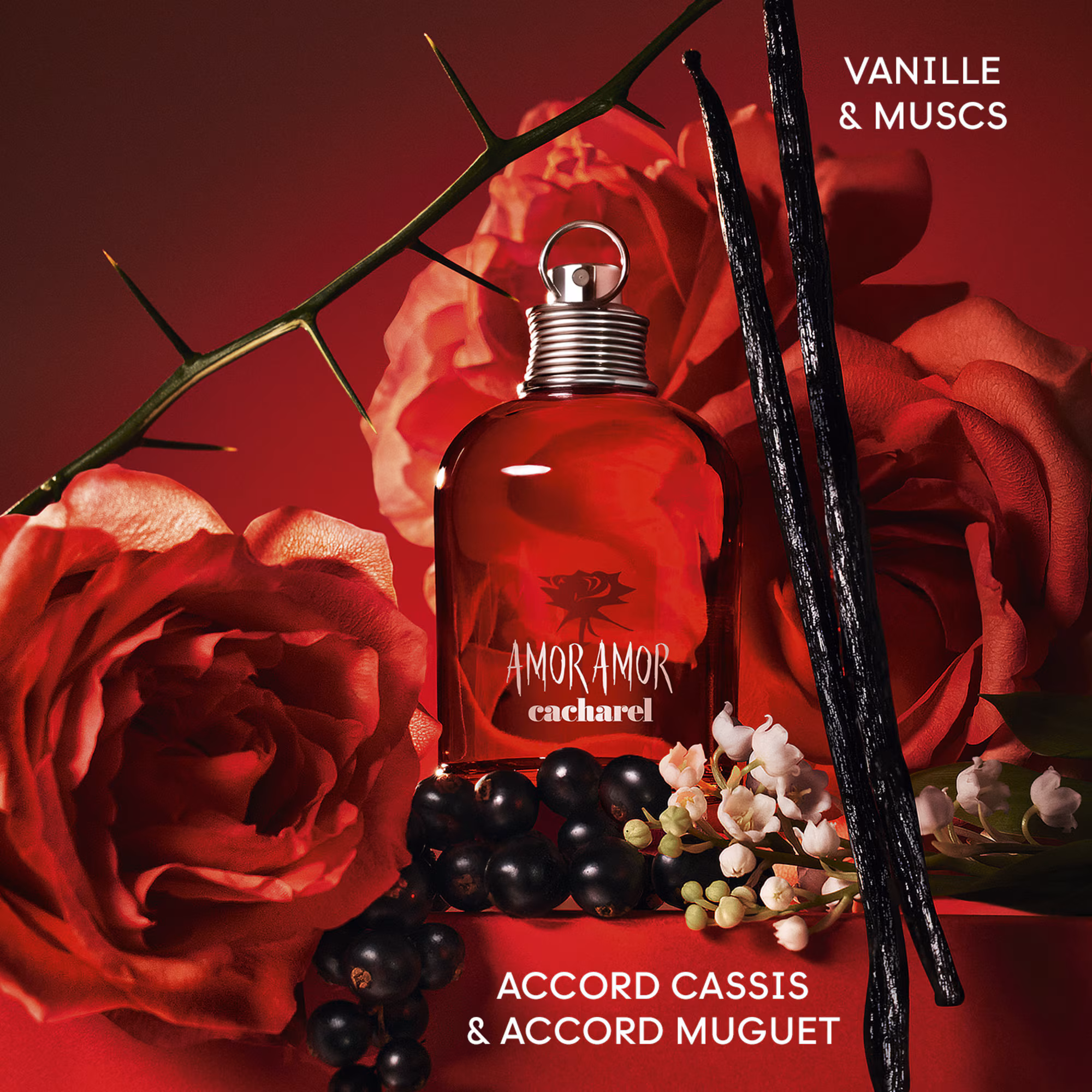 AMOR AMOREau de toilette
