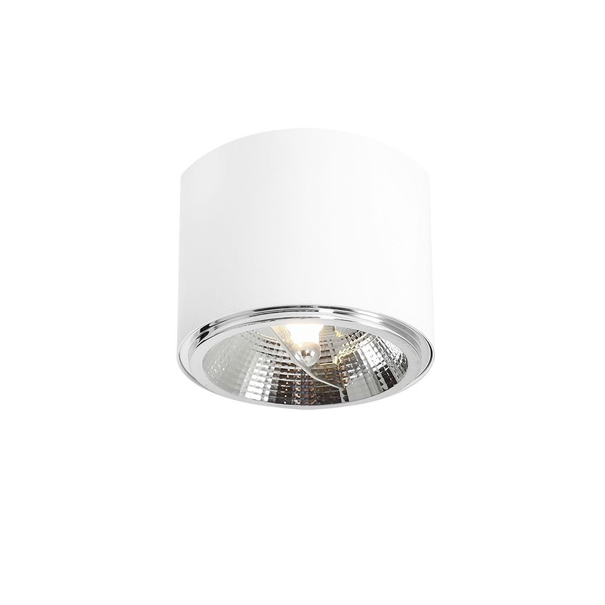 Spot okrągły biały WHITE 1xES111x60W wym:9x11,5x11,5cm IP20 Aldex