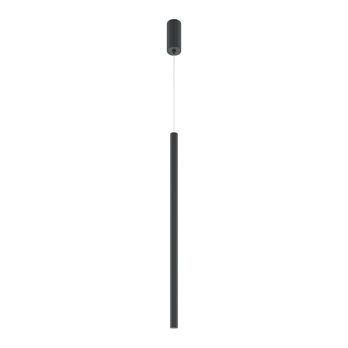 Maytoni - Hanglamp Pro Extra - Zwart - Ø3