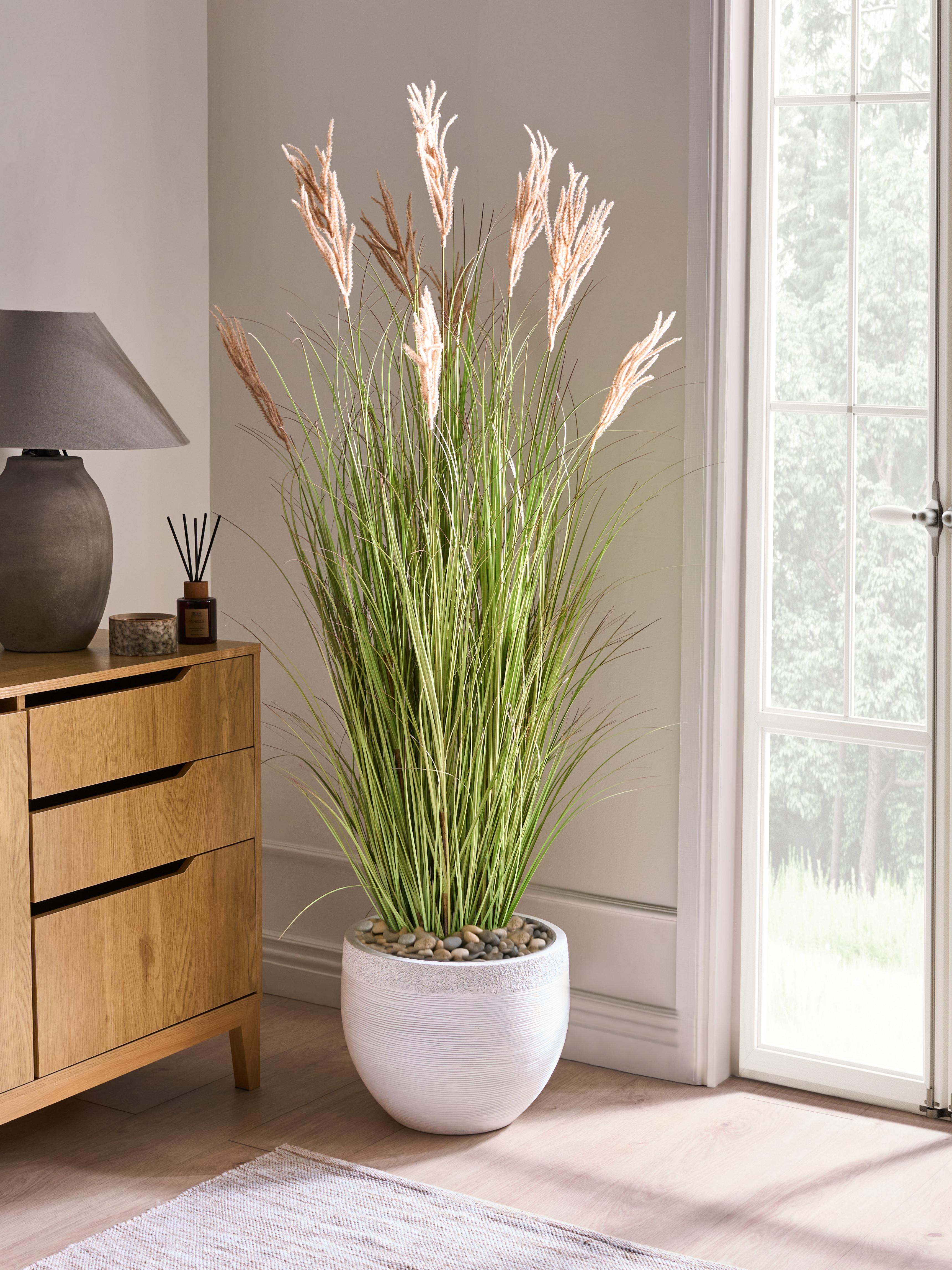 Artificial Plant CLAW FLOWER 150 cm Green