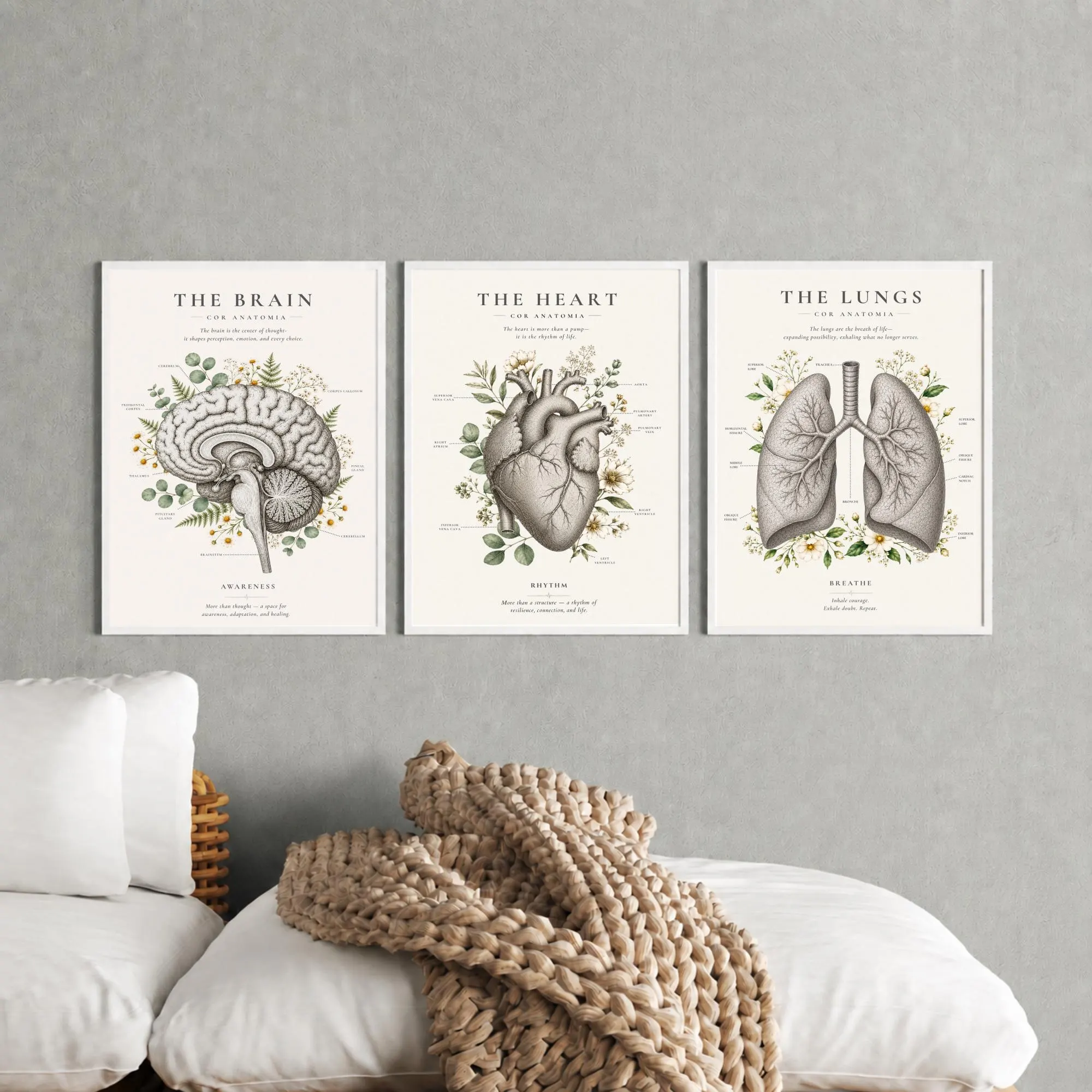 Framed Anatomy Wall Art Set, Botanical Heart, Brain, Lungs Prints