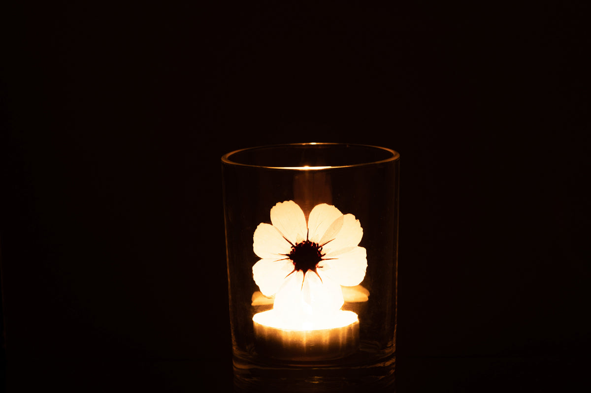 J-Line windlicht Bloem - glas - roze/mix