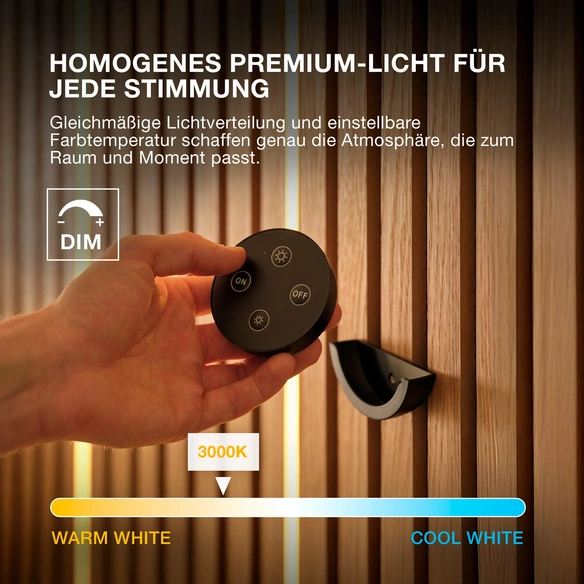 LED-Streifen, LxBxH: 260x1,24x1 cm, dimmbar, warmweiß, mattschwarz