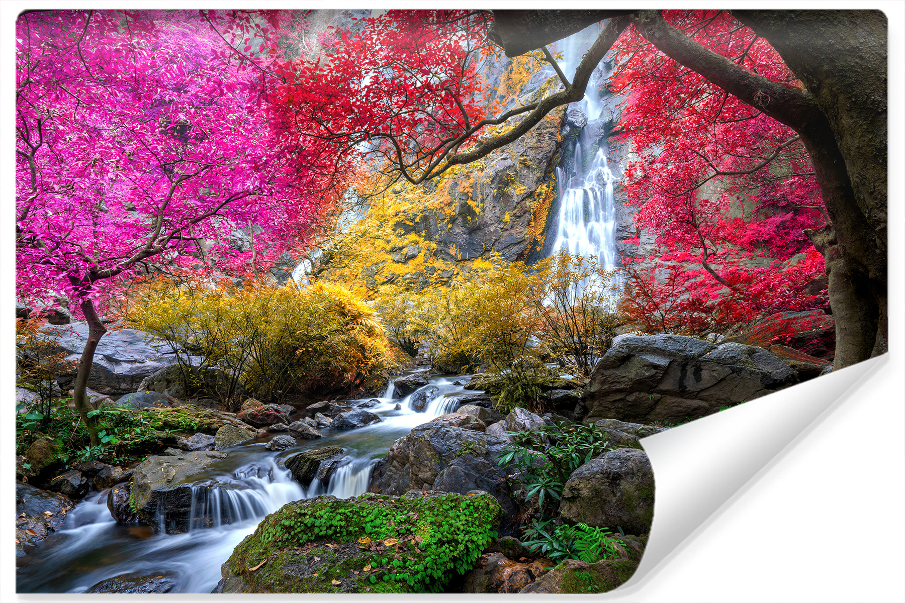 Fototapeta Tajlandia WODOSPAD Drzewa 3D 90x60cm