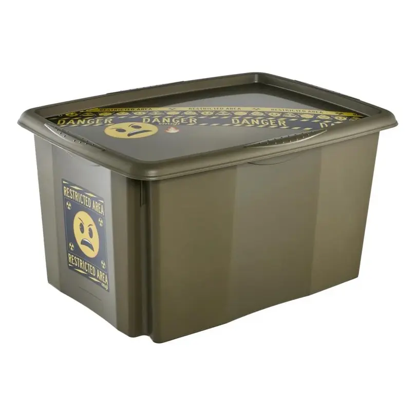 Aufbewahrungsbox Karolina