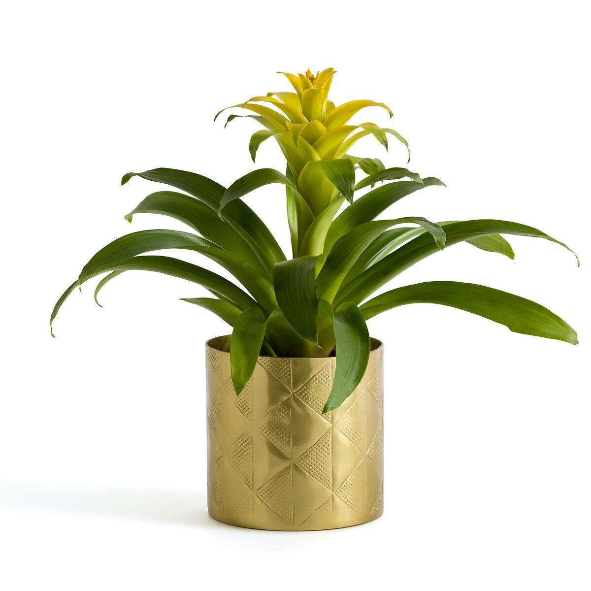 Cache-pot laiton Ø14 cm, Erledur