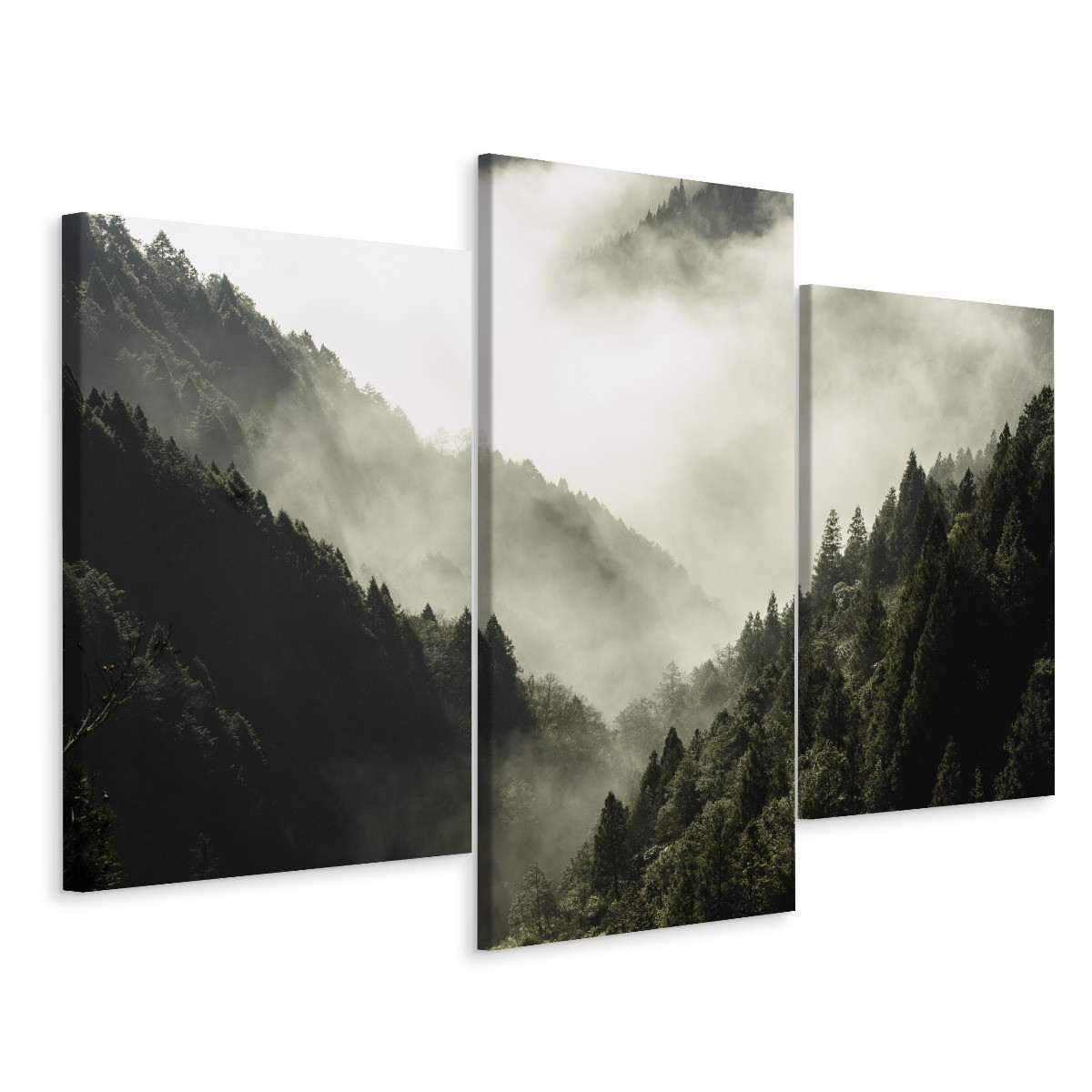 Obraz Tryptyk LAS WE MGLE Natura 3D 60x40cm