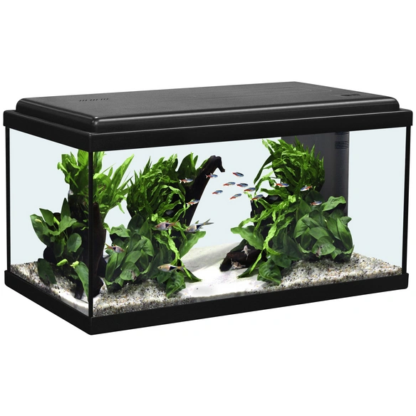 Aquarienset Advance 60 LED