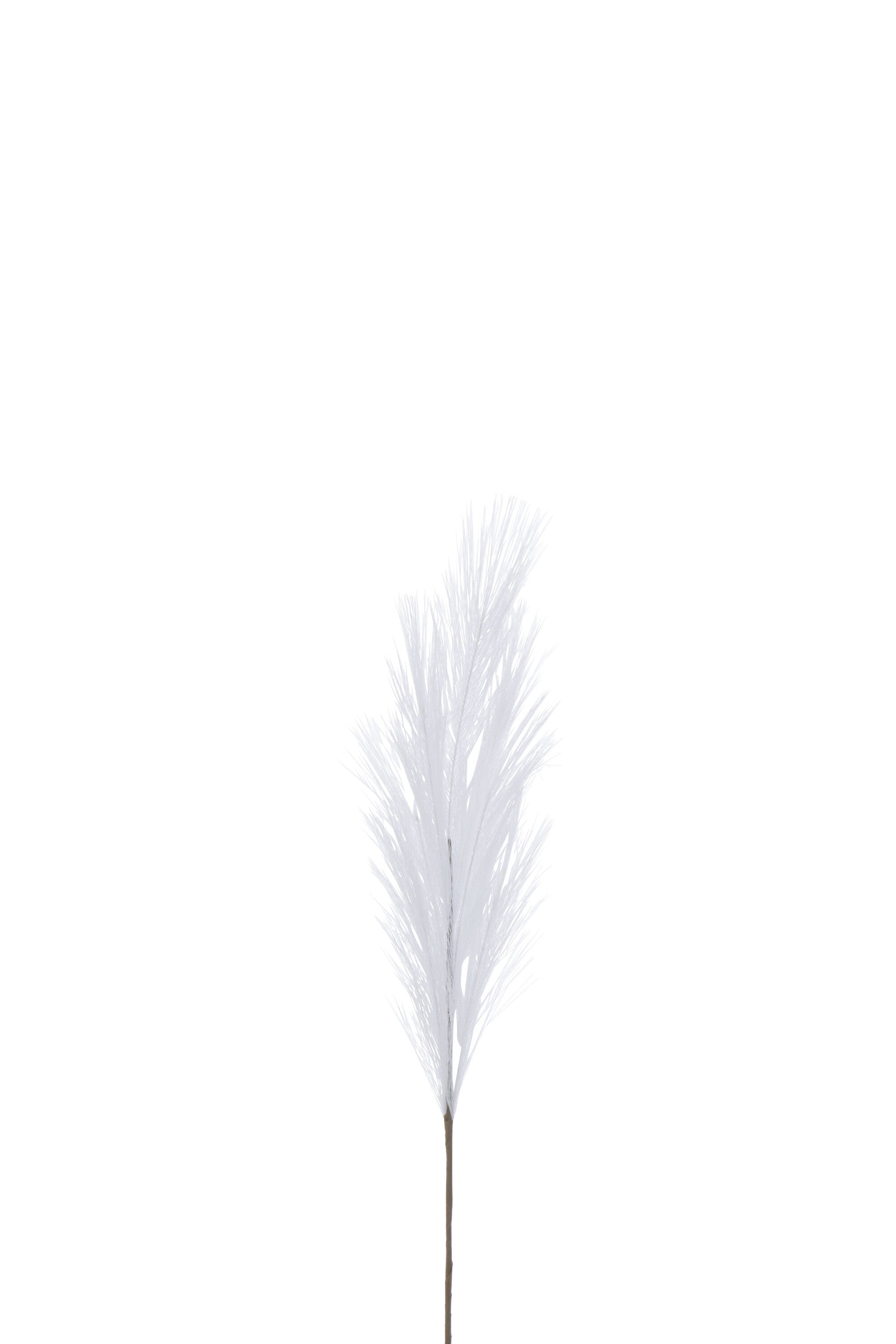 J-Line decoratie Tak Plumeau - kunststof - wit - small