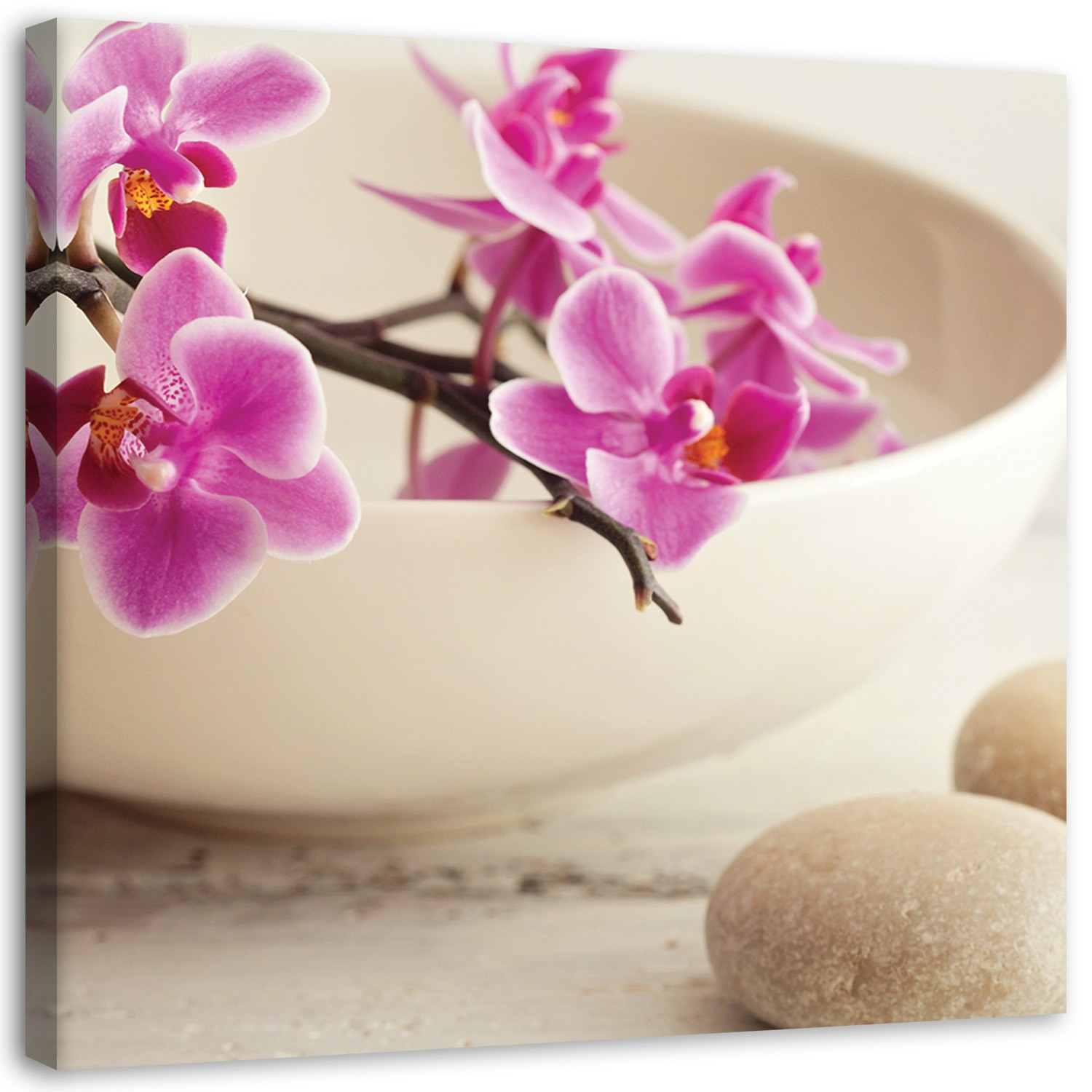 Feeby Obraz na płótnie Różowe orchidee zen shabby chic 30x30