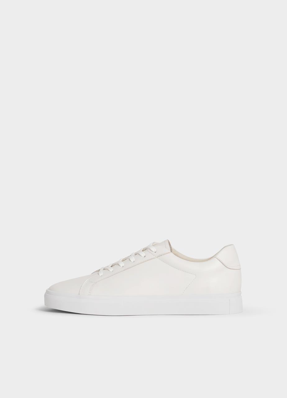 Cody Sneakers
