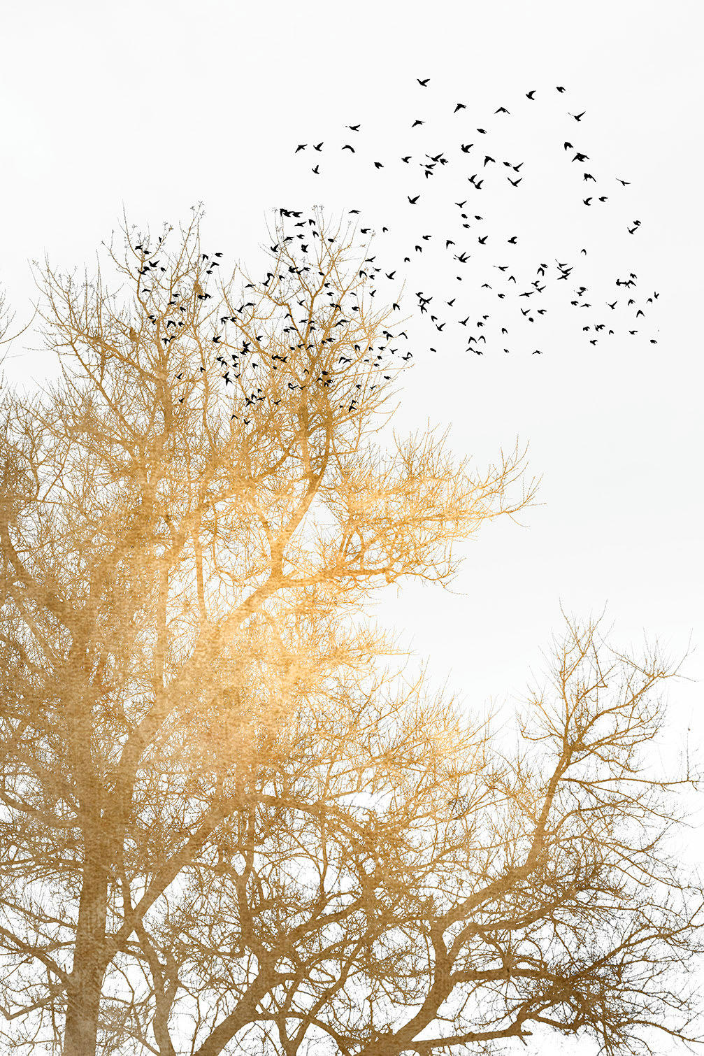 - Tableau dessin Ciel d