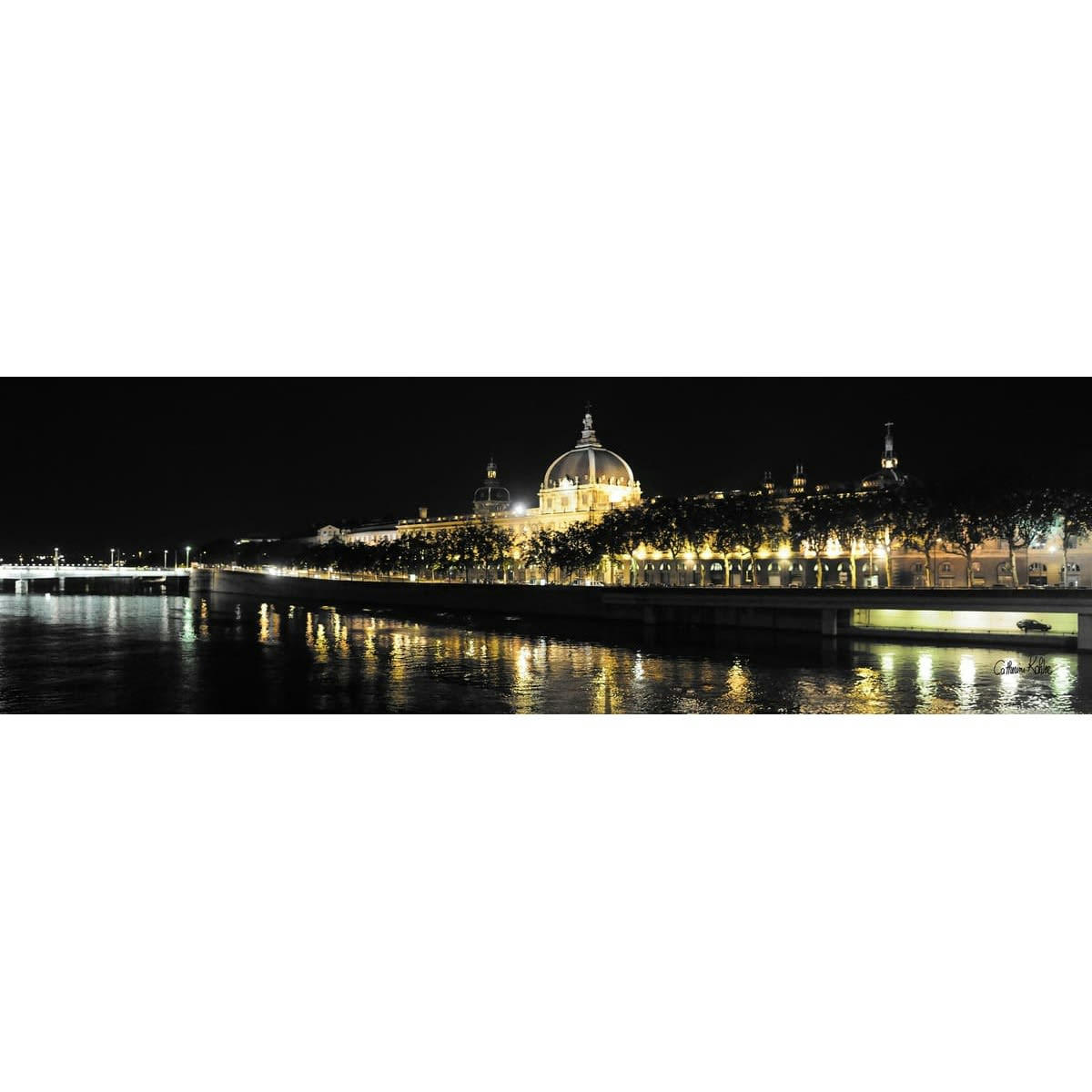 CONTEMPORAIN URBAIN - Tableau sur toile hôtel dieu 30x97 cm