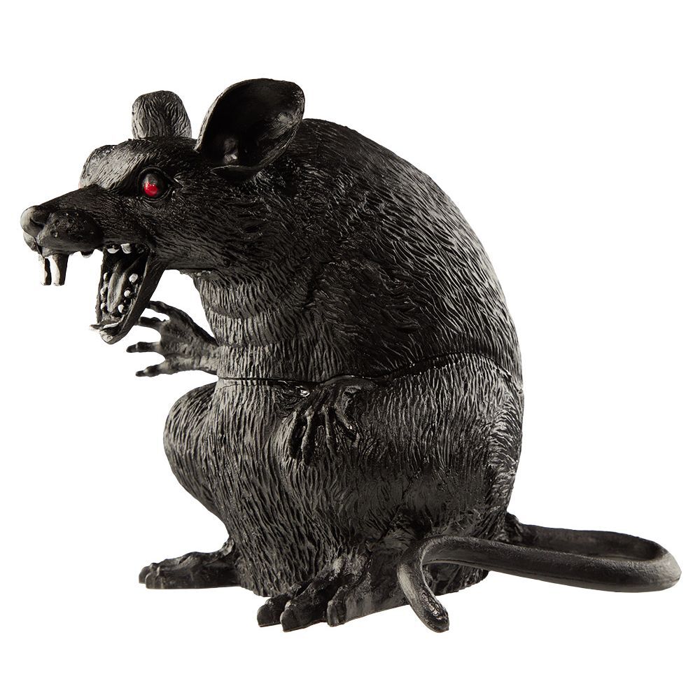 Rat noir à poser