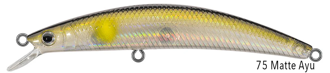DR.MINNOW JERKBAITS