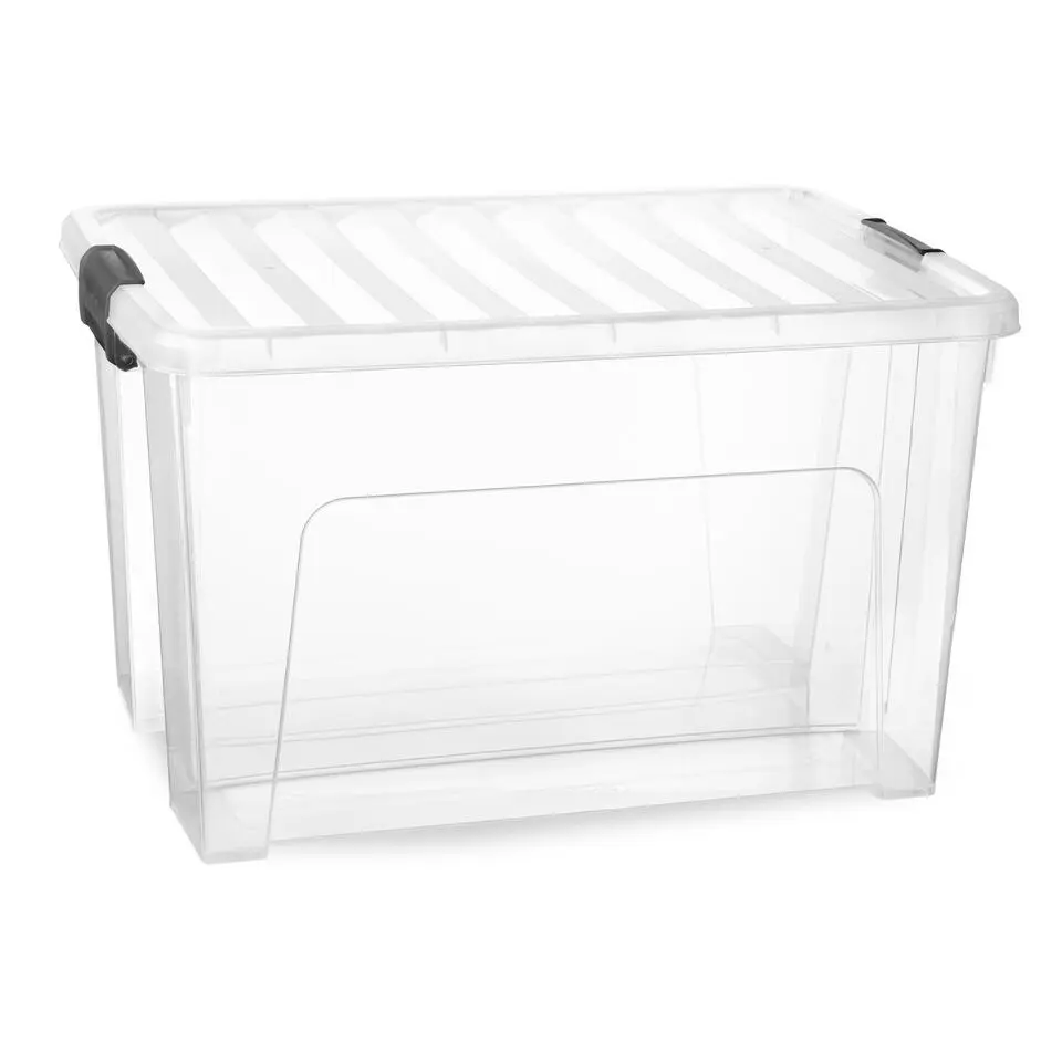 Plasticforte Opbergbox met deksel - 47L - kunststof