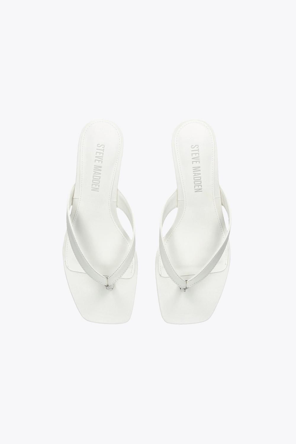 STEVE MADDEN Tracie' Suede Sandals