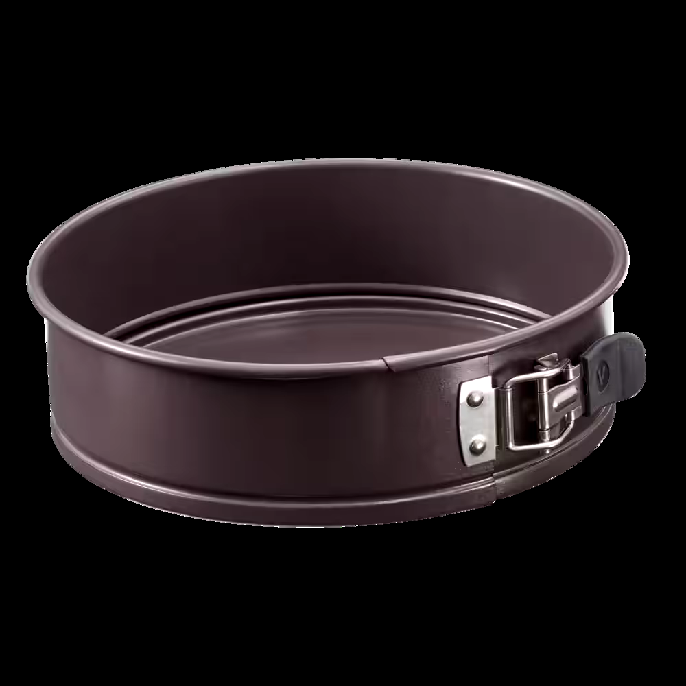 Vida by PADERNO Non-Stick Springform Cake Pan, 9-in