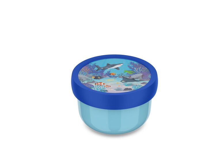 fruitbox campus 300 ml - tropical ocean