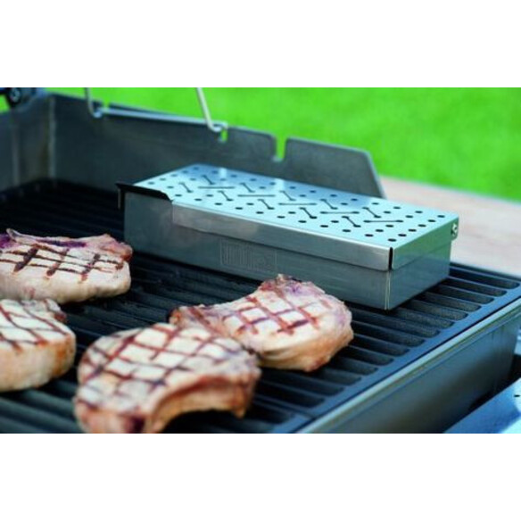 Fumoir universel Weber inox