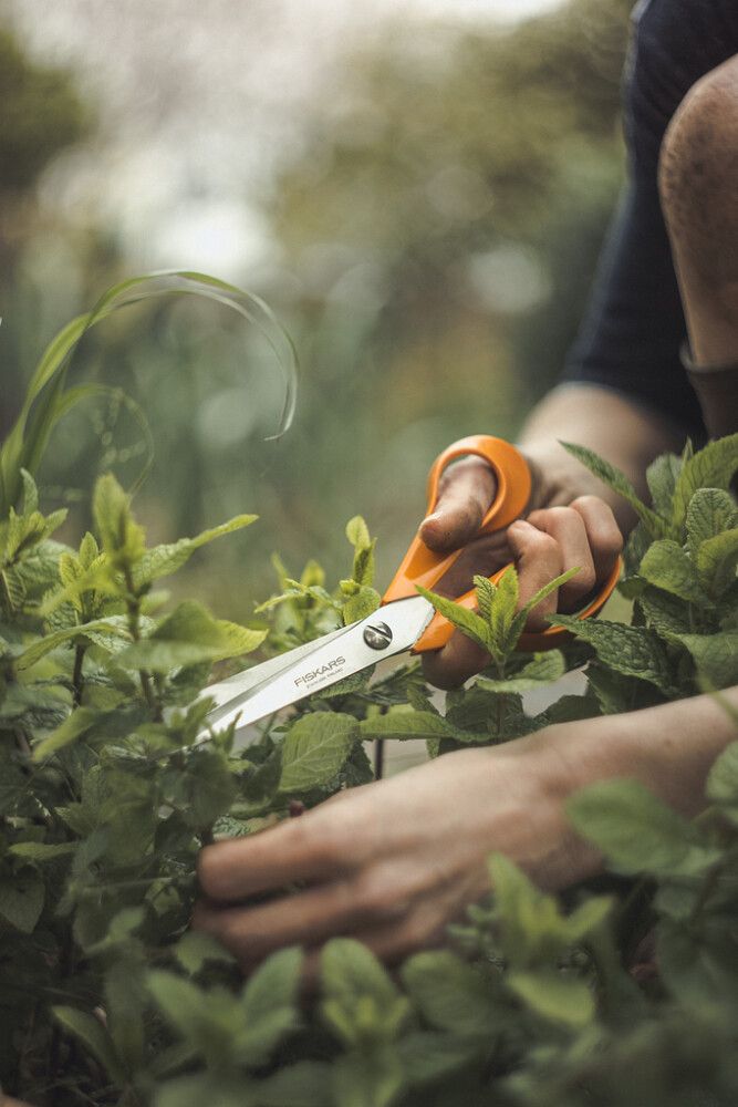 UNIVERSALSAKS FISKARS KLASSISK 21 CM HØYRE
