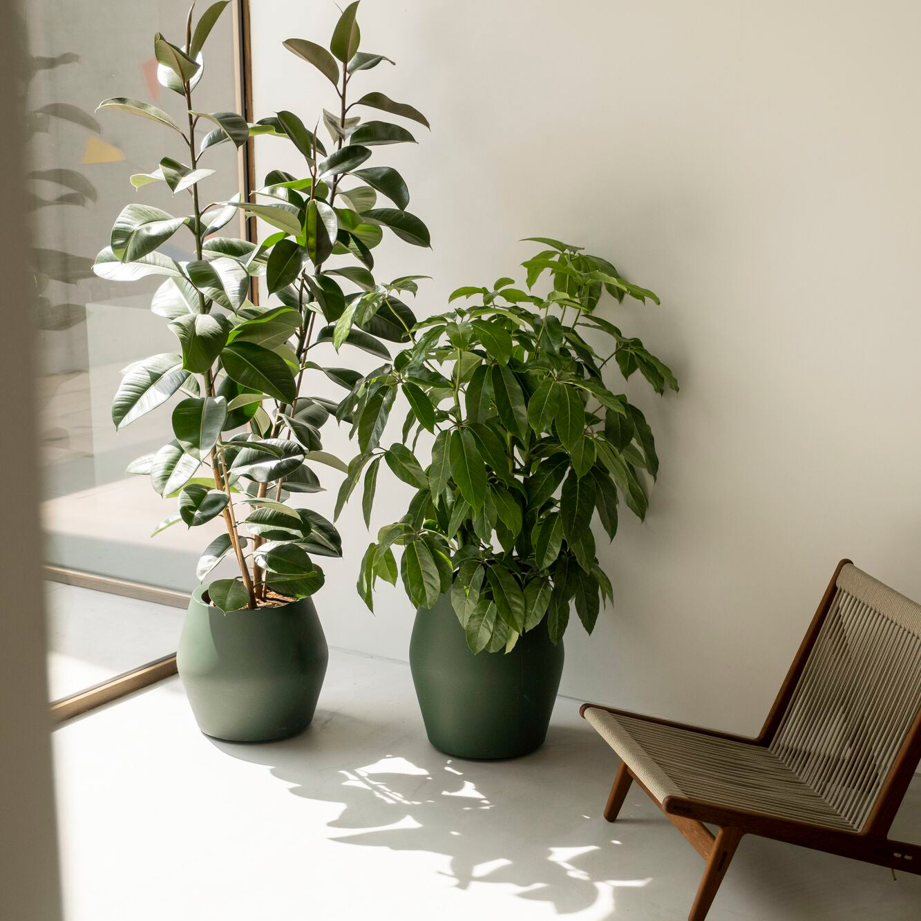 Elho June Split Low 46 - Groen - Ø 46 x H 42 cm - Binnen en Buiten - 1