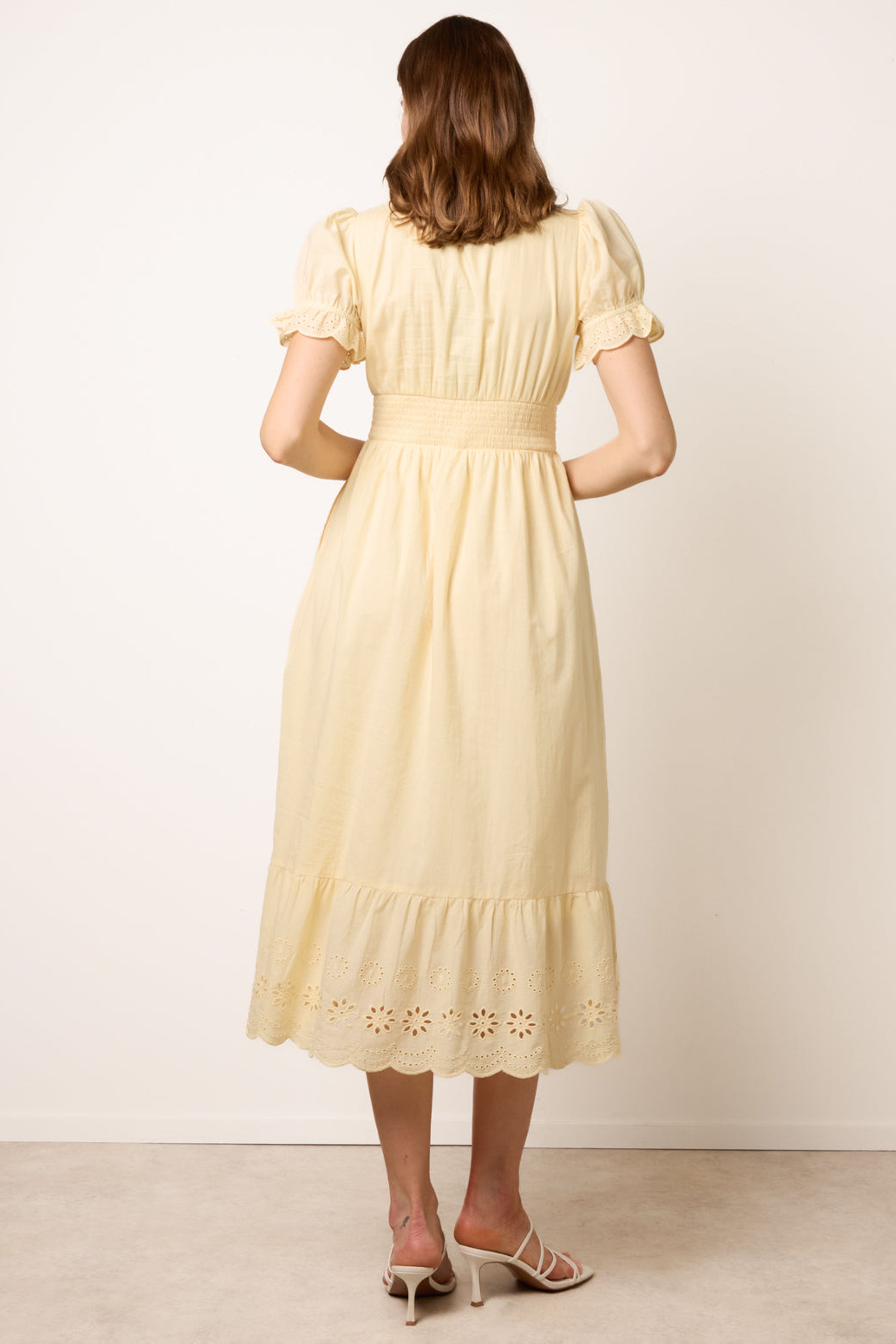Blue Vanilla Lemon Embroidery Detail V-Neck Dress