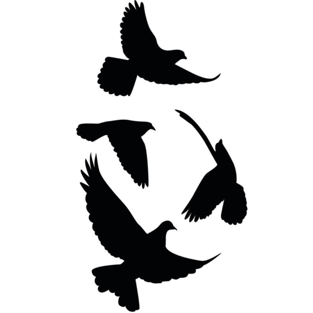 OISEAUX - Adhésifs de vitres oiseaux 40x30cm