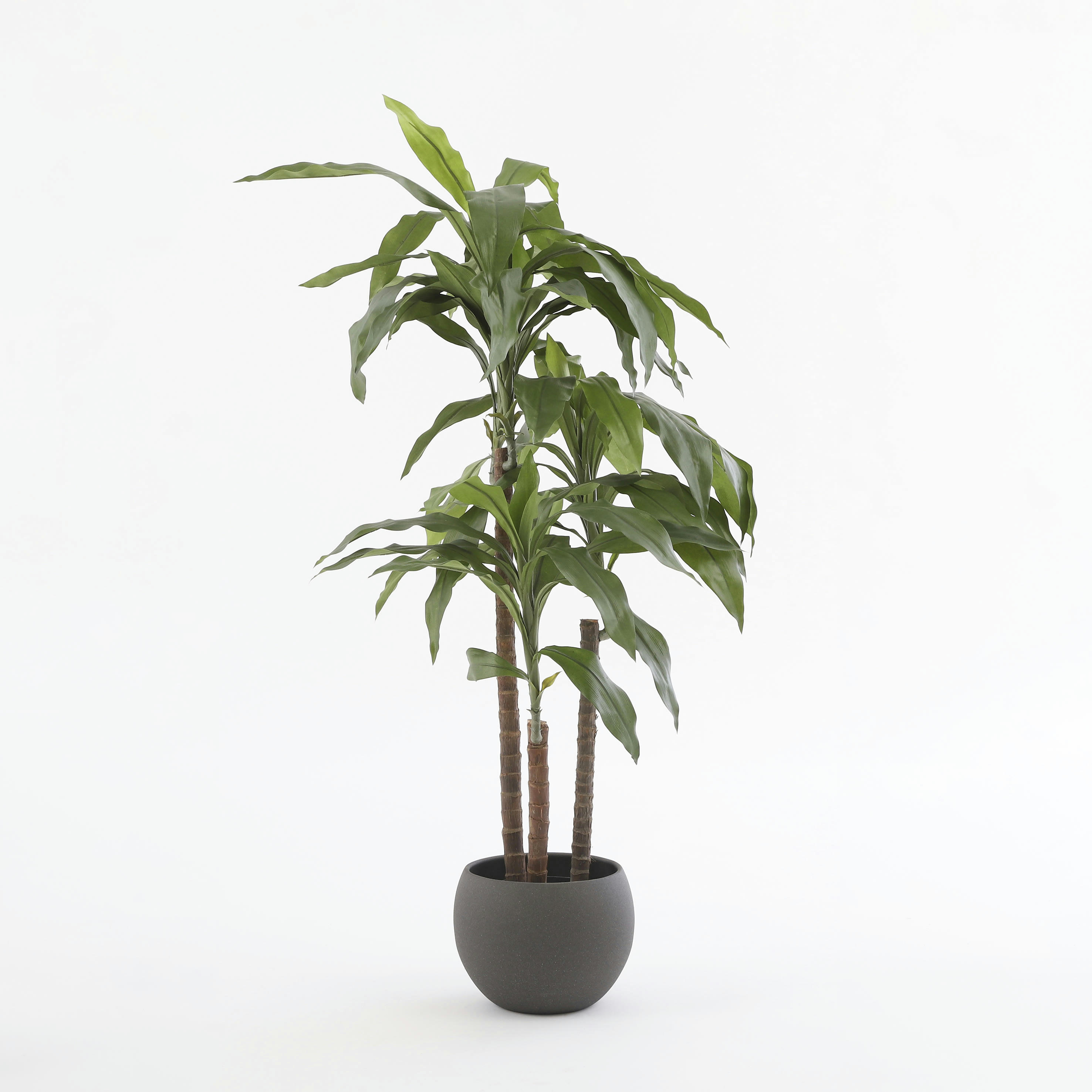 - Dracaena artificielle en pot H100