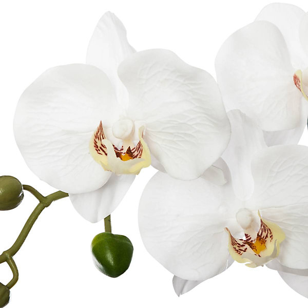 Orchidée artificielle - pot en ciment - H53 cm - Atmosphera