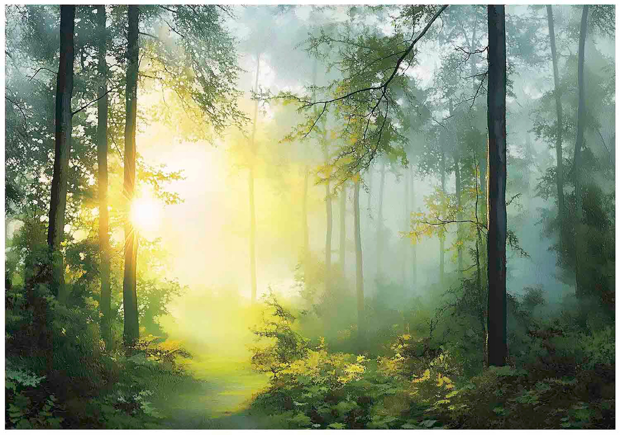 Fototapeta las 3d drzewa słońce natura na ścianę sypialnia salon 250x175