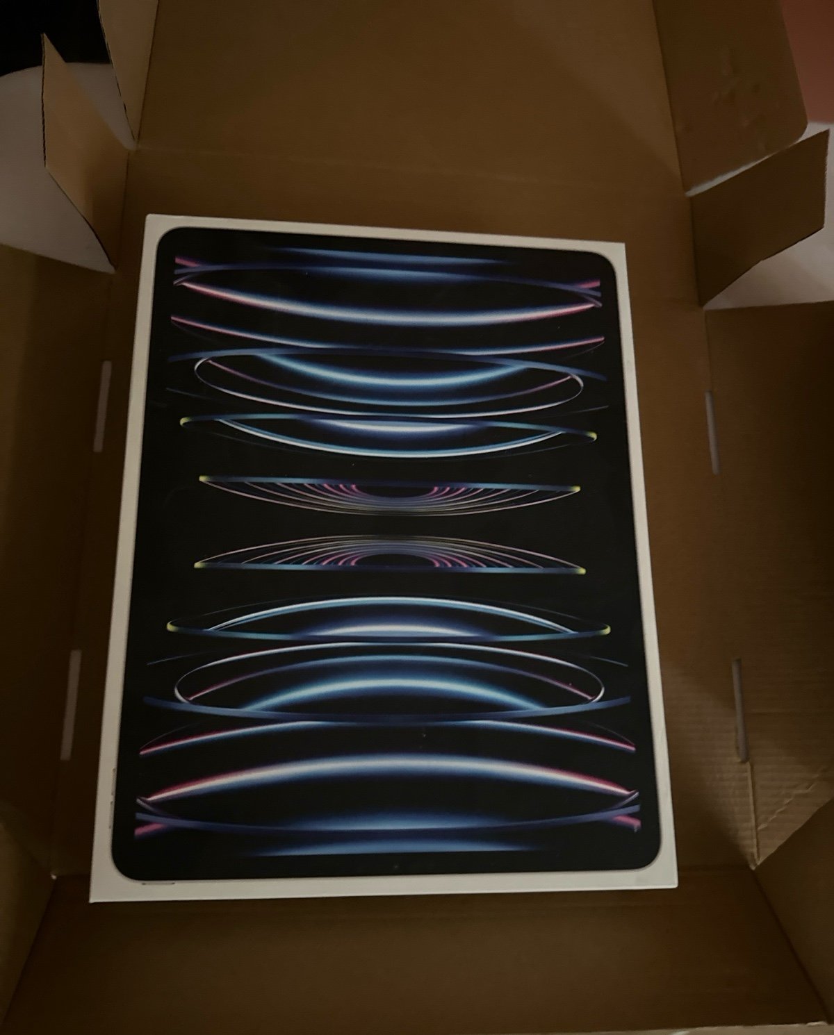 Apple iPad Pro 12.9 6th Gen 256GB Wifi + Cellular