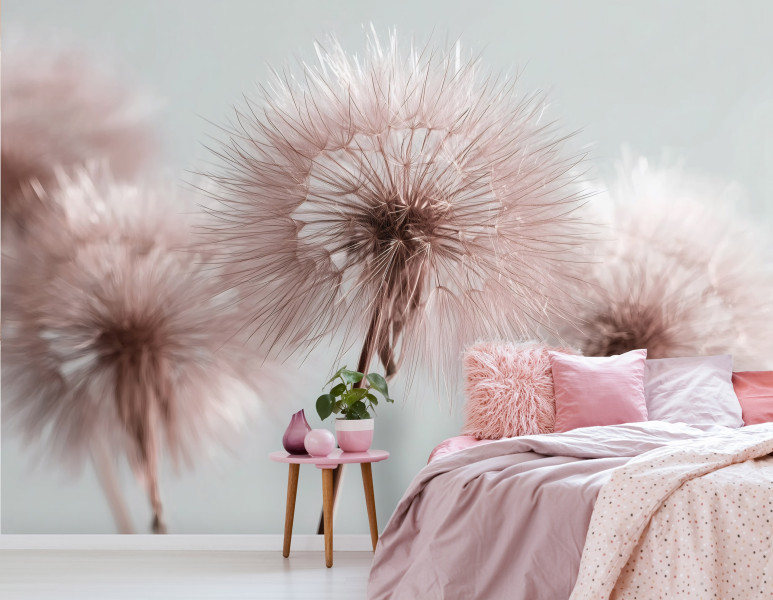 Fototapeta Dmuchawce Boho Natura Róż Na Ścianę Sypialnia Salon 250X175