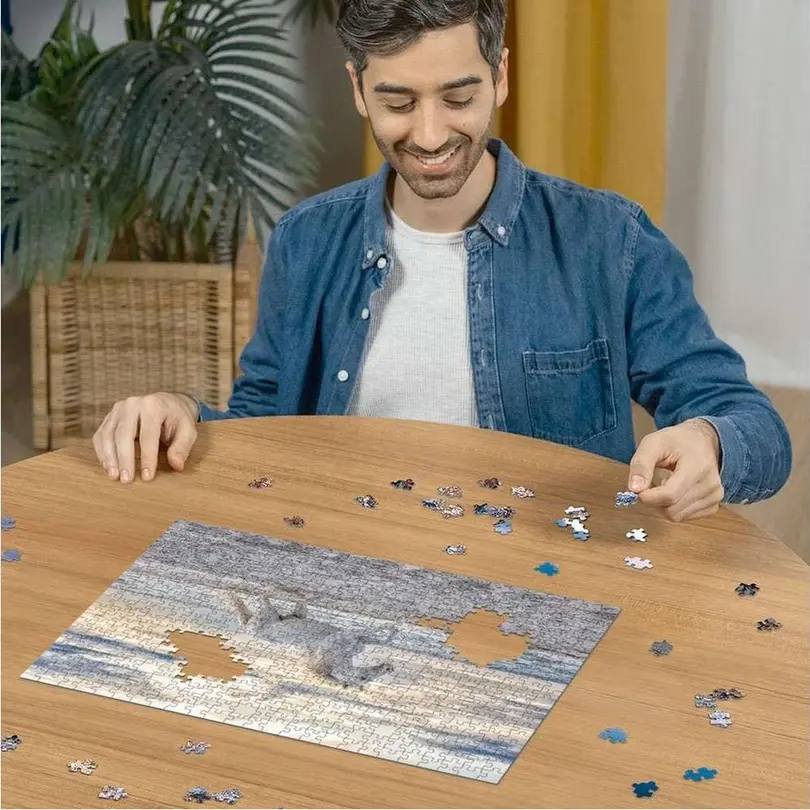 Puzzle Pferd am Strand