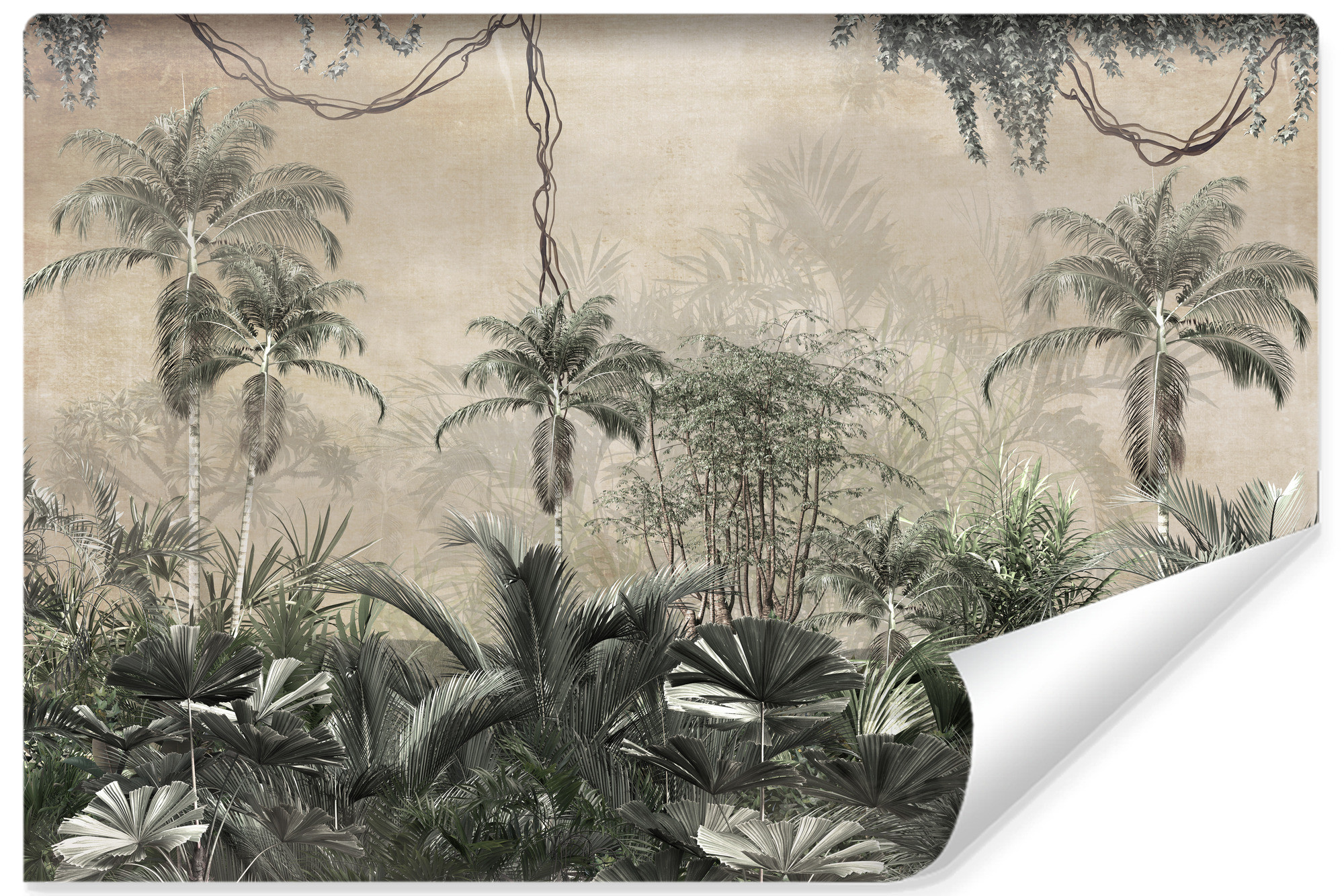 Fototapeta Las Tropikalny Palmy Styl Vintage 90x60cm