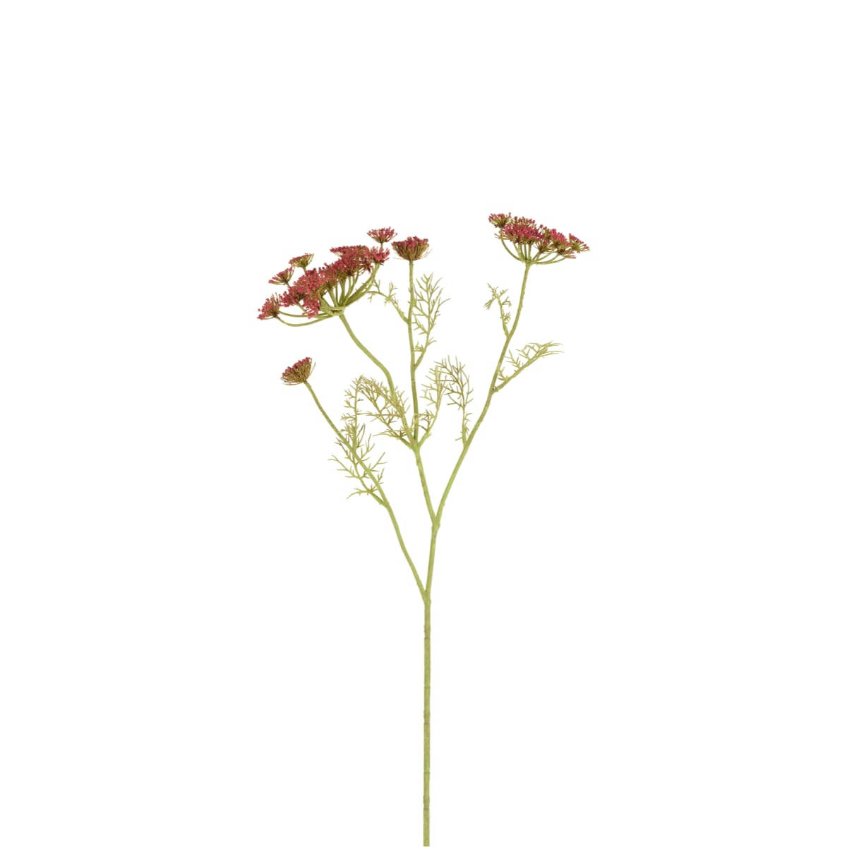 - Tige de carotte sauvage artificielle rouge H80