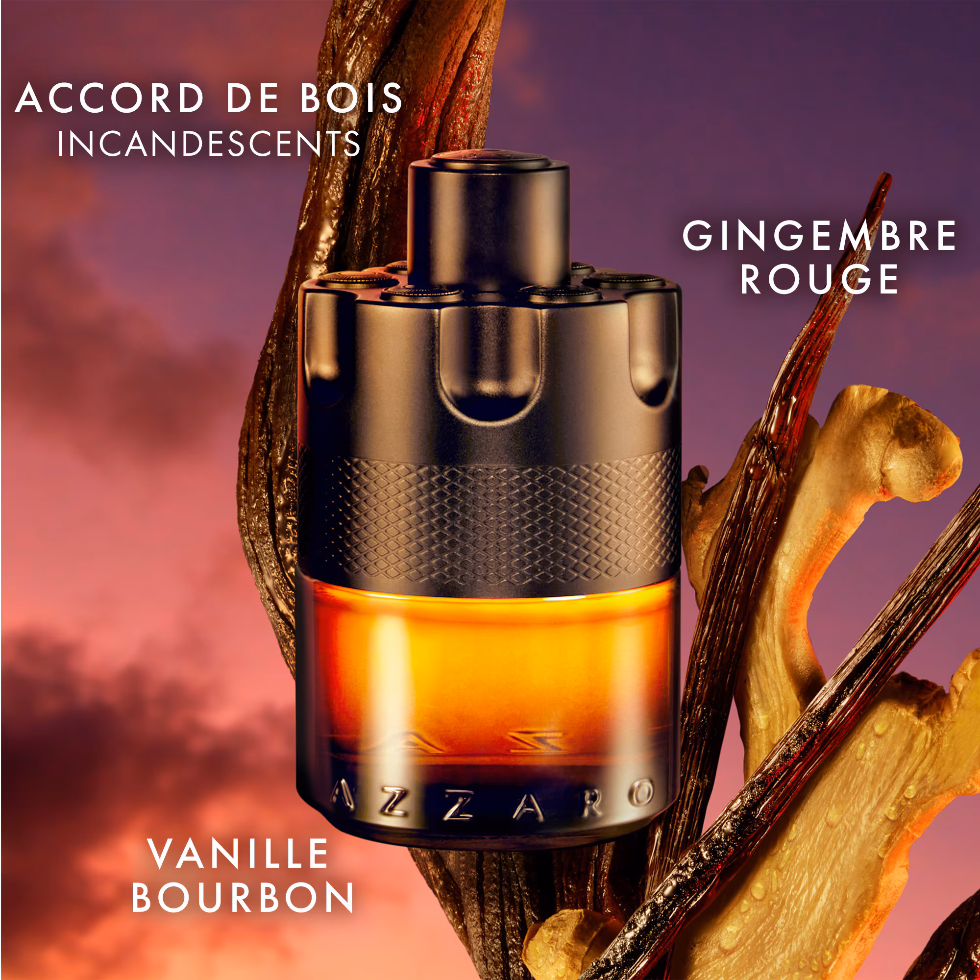 THE MOST WANTEDParfum