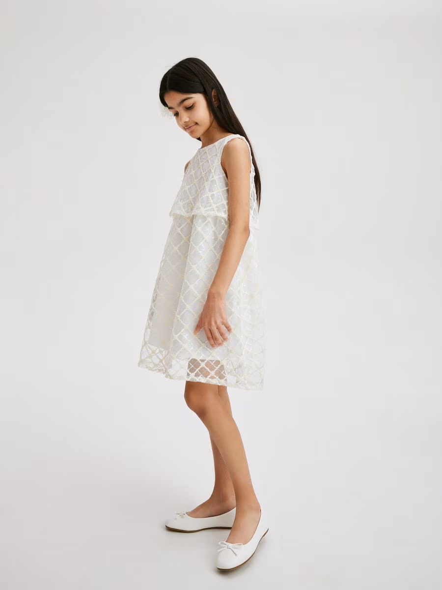 Shiny Sequin Dress