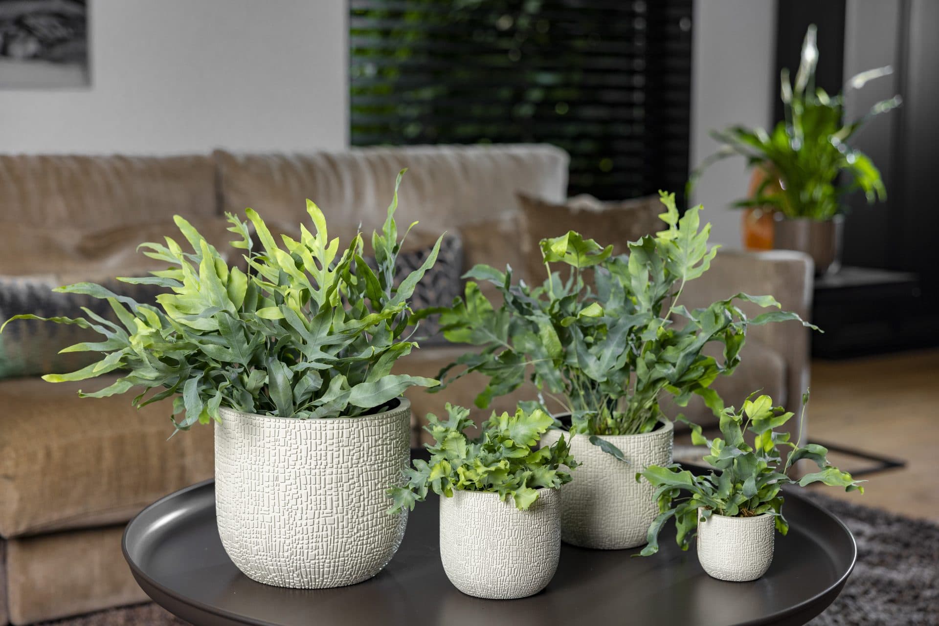 Capi Europe - Pot bol Skin - 24x21 - Zwart beige